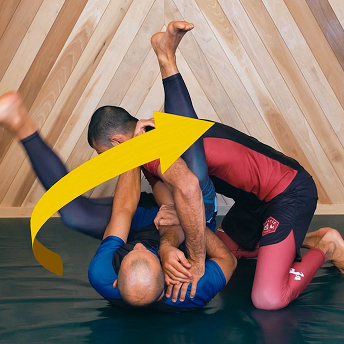 Gracie Combatives ist das perfekte Anfänger-Selbstverteidigungs-Programm für Erwachsene